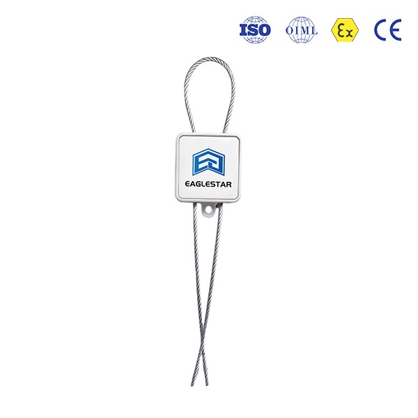 Püsiv elektrooniline tihendilukk