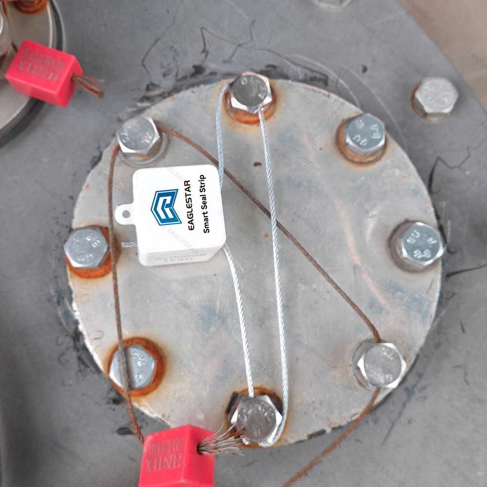 Eaglestar Permanent Electronic Seal Lock Eaglestar Permanent Electronic Seal Lock